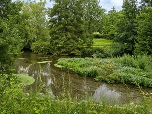 Stream- click for photo gallery